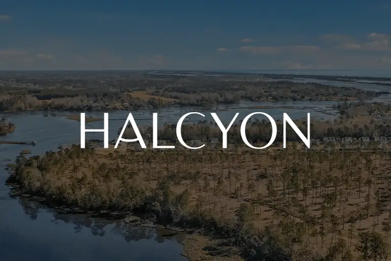 Halcyon logo